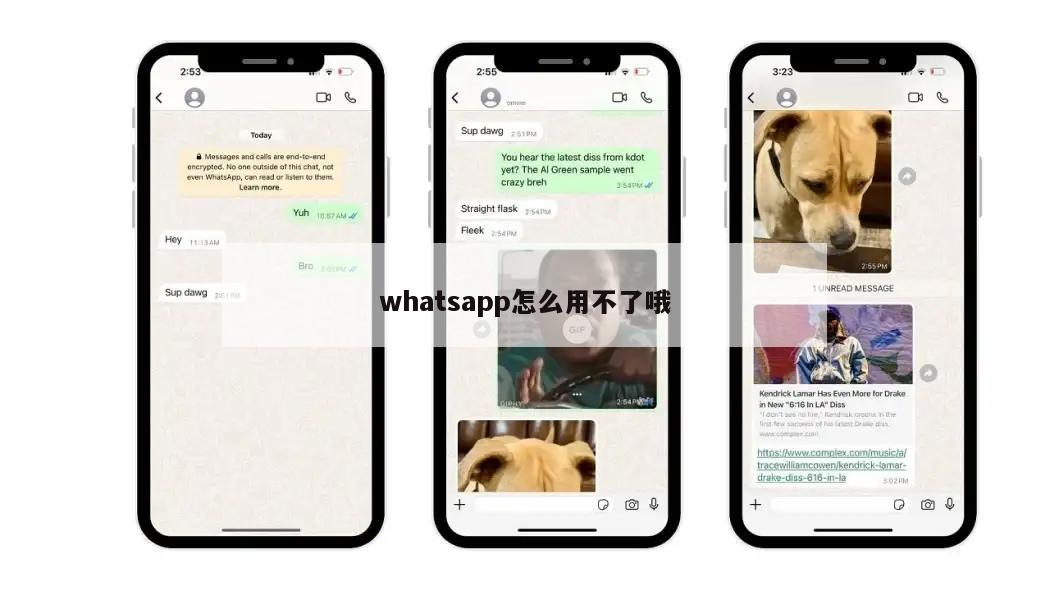 whatsapp怎么用不了哦